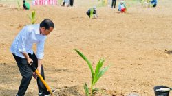 Kanwil Kemenkum Pabar Ikut Tanam Bibit Pohon Kelapa di LPP Manokwari