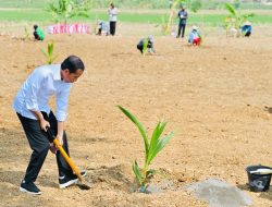 Kanwil Kemenkum Pabar Ikut Tanam Bibit Pohon Kelapa di LPP Manokwari